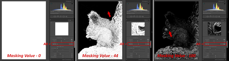 How_to_Sharpen_Lightroom-7