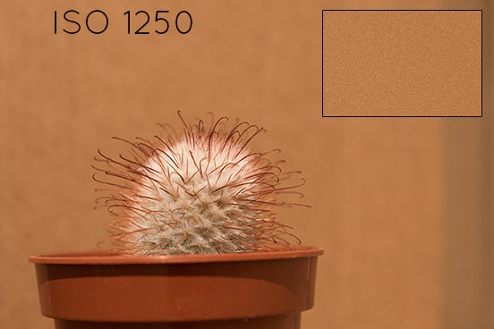 Nikon D810 ISO Capabilities Comparison