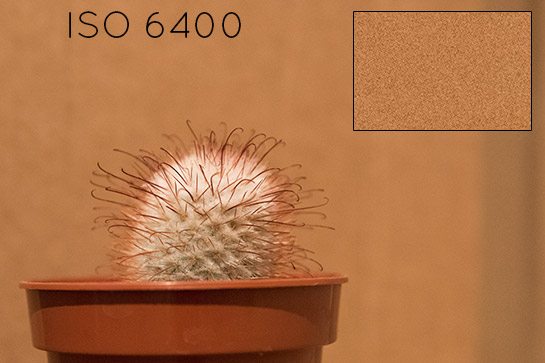 Nikon D810 ISO Capabilities Comparison