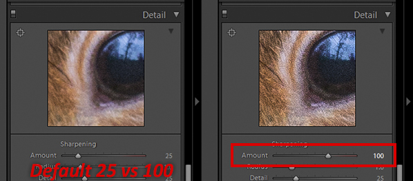 How_to_Sharpen_Lightroom-4