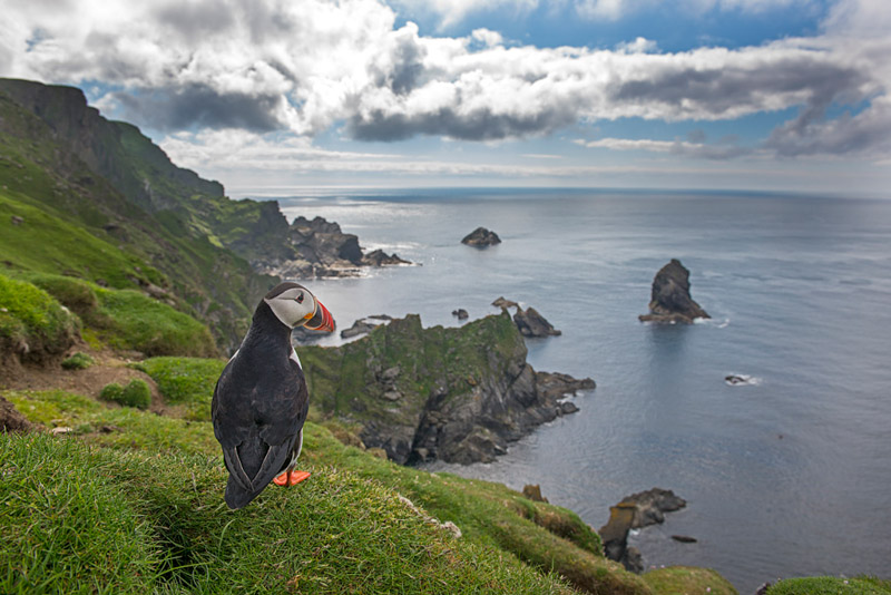 Bird Photography Tips