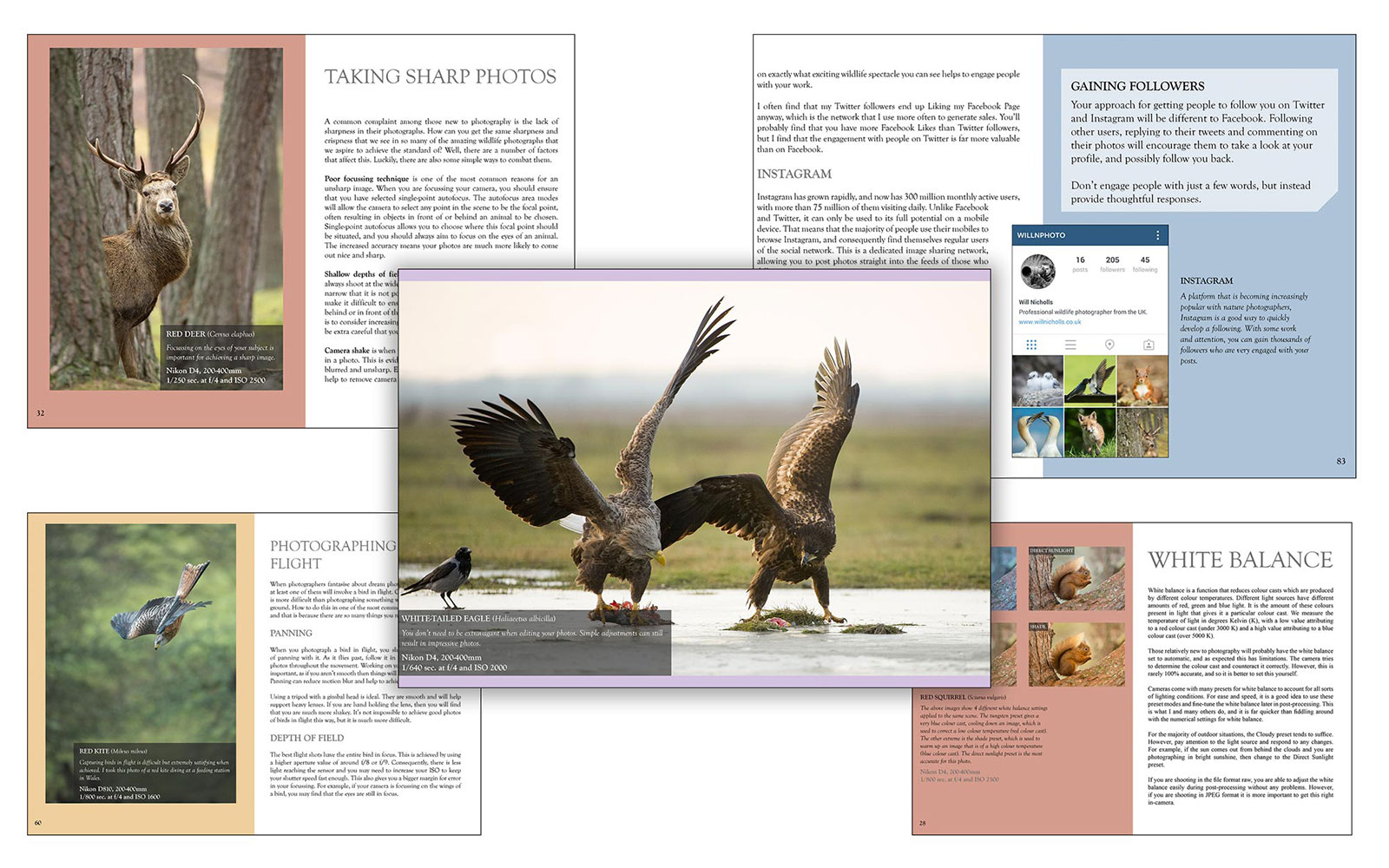 beginners wildlife photography