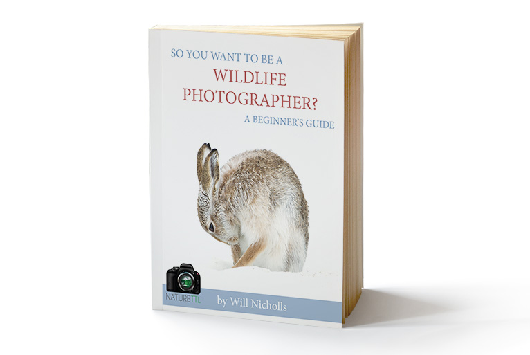 smallcover