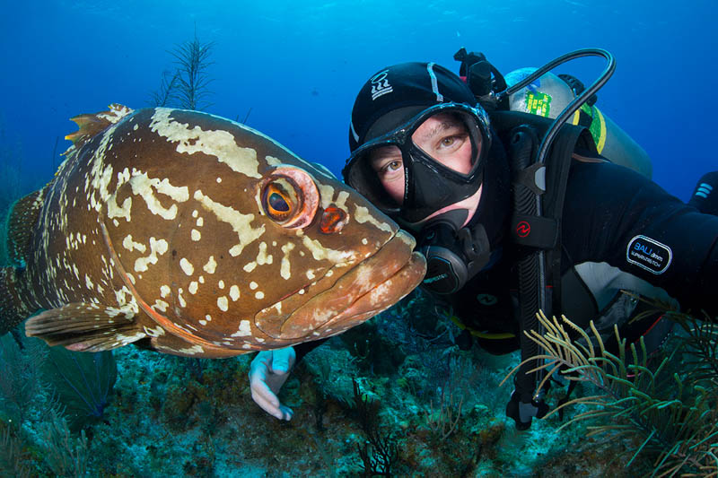 Grouper Selfie. Cayman Islands