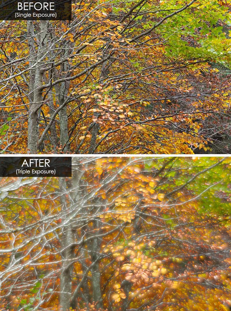 before and after multiple exposures