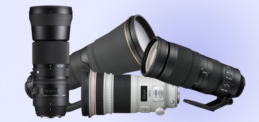 zoom or prime telephoto lens