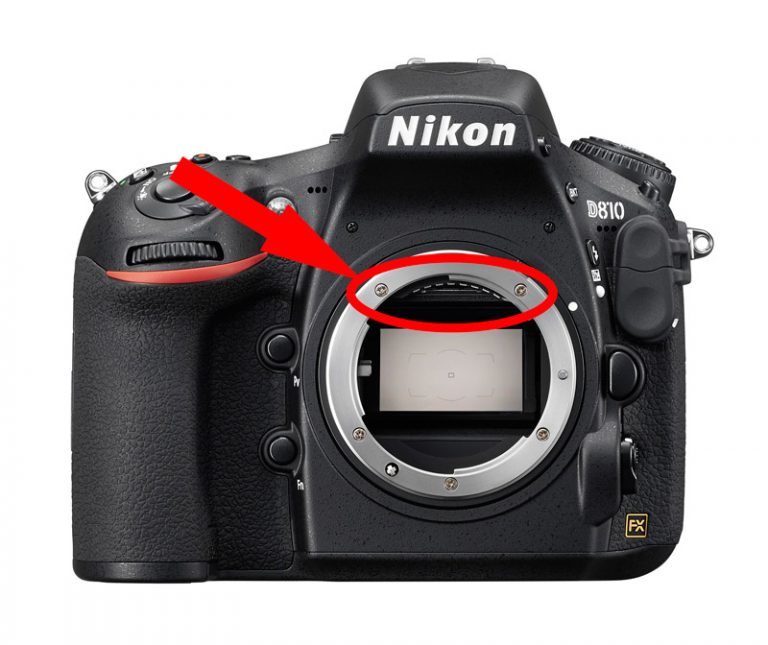 Nikon DSLR Error Codes Meanings & Fixes Nature TTL