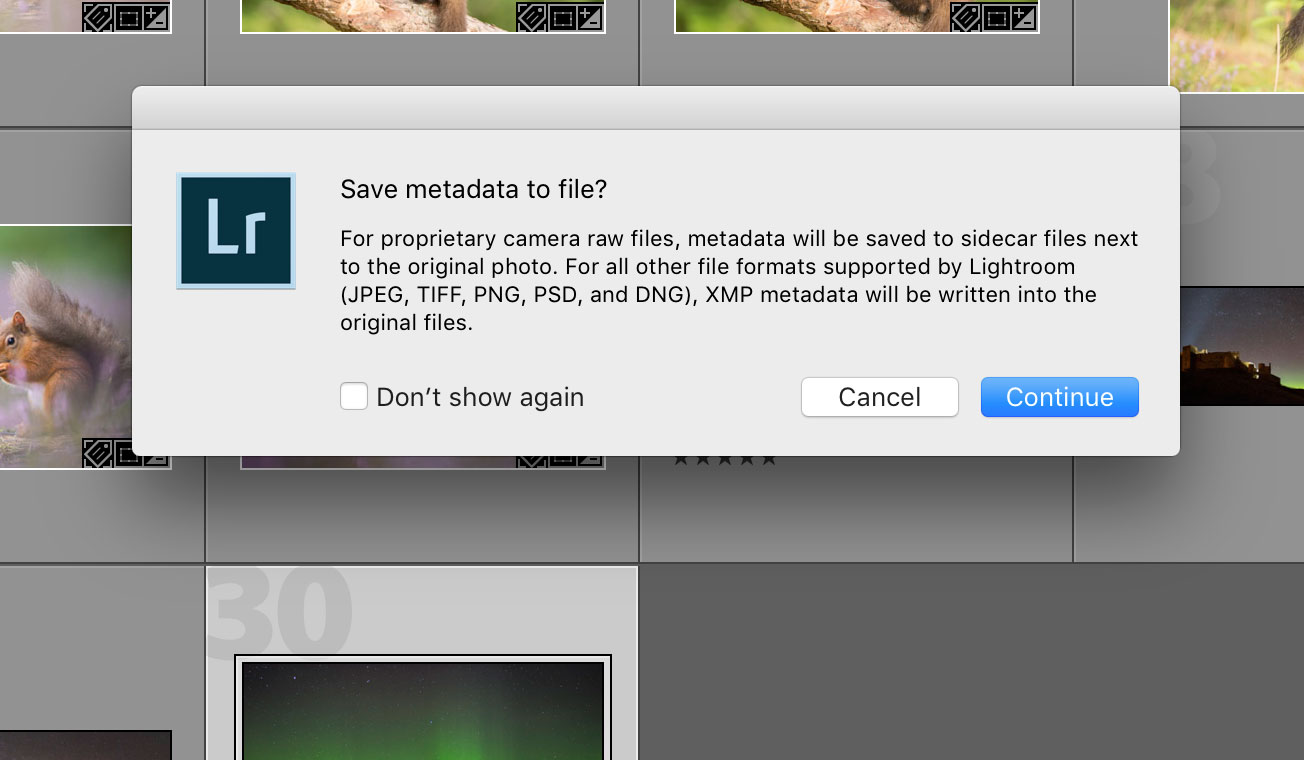 save metadata to file lightroom