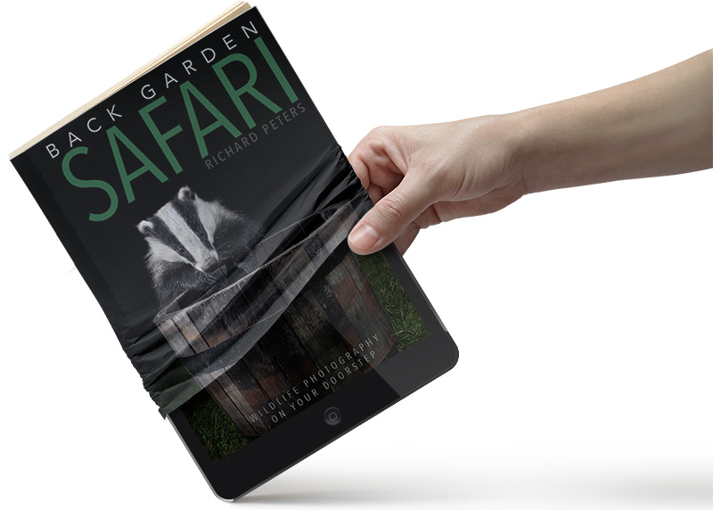 ebook richard peters back garden safari