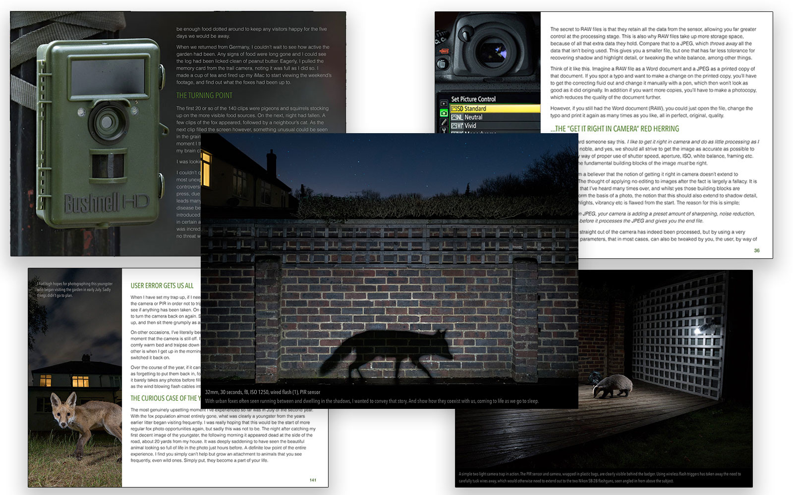 back garden safari urban wildlife ebook