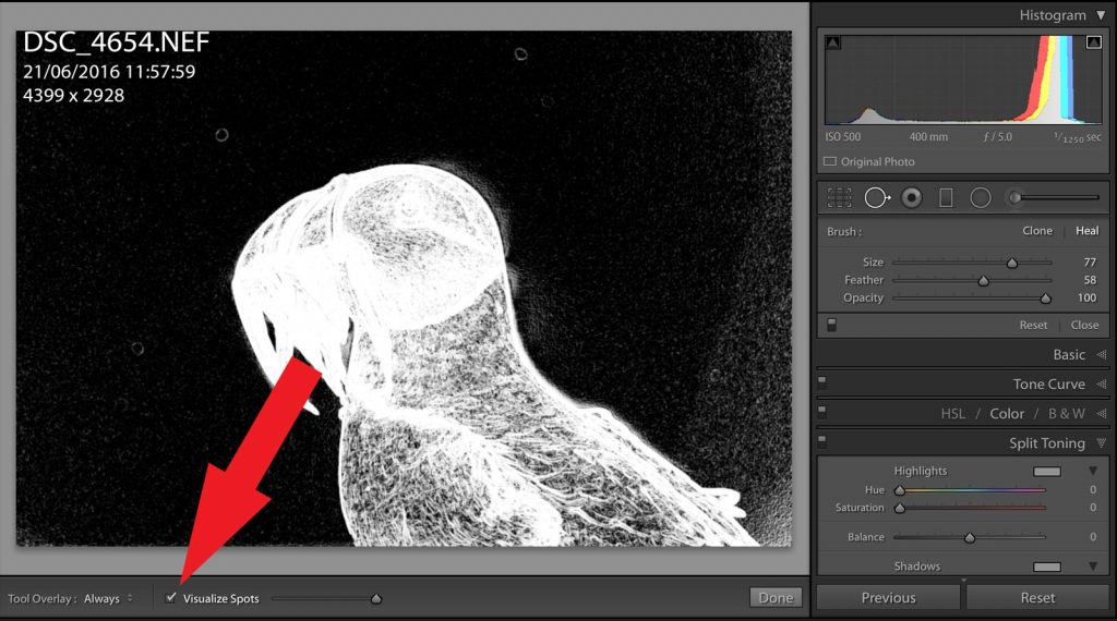 How to Quickly Find & Remove All Dust Spots in Lightroom Nature TTL