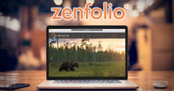 6 Ways to Customise and Make the Most of Your Zenfolio Website - Nature TTL
