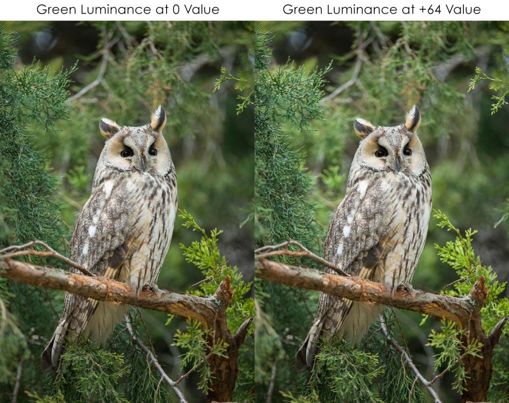 Lightroom Colour Correction: Hue, Saturation & Luminance - Nature TTL