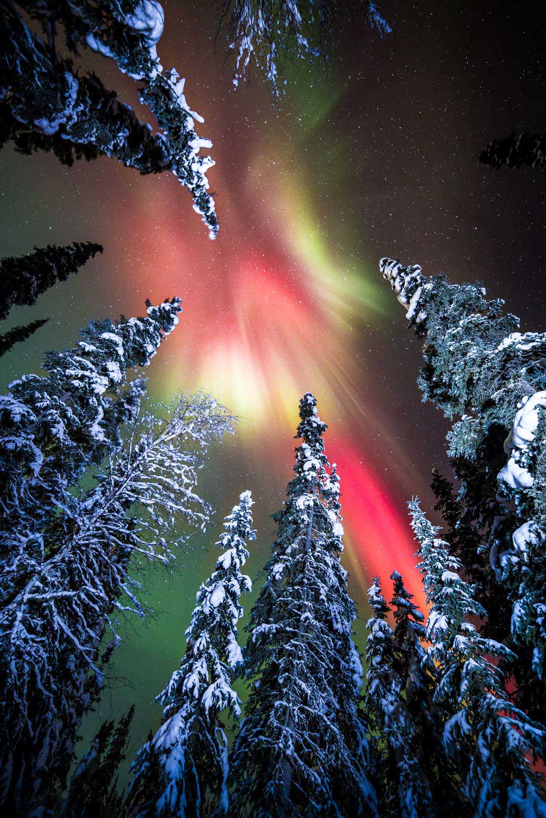 alaska northern lights tips