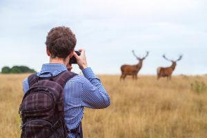 What's the Best Camera for Wildlife Photography in 2023? - Nature TTL