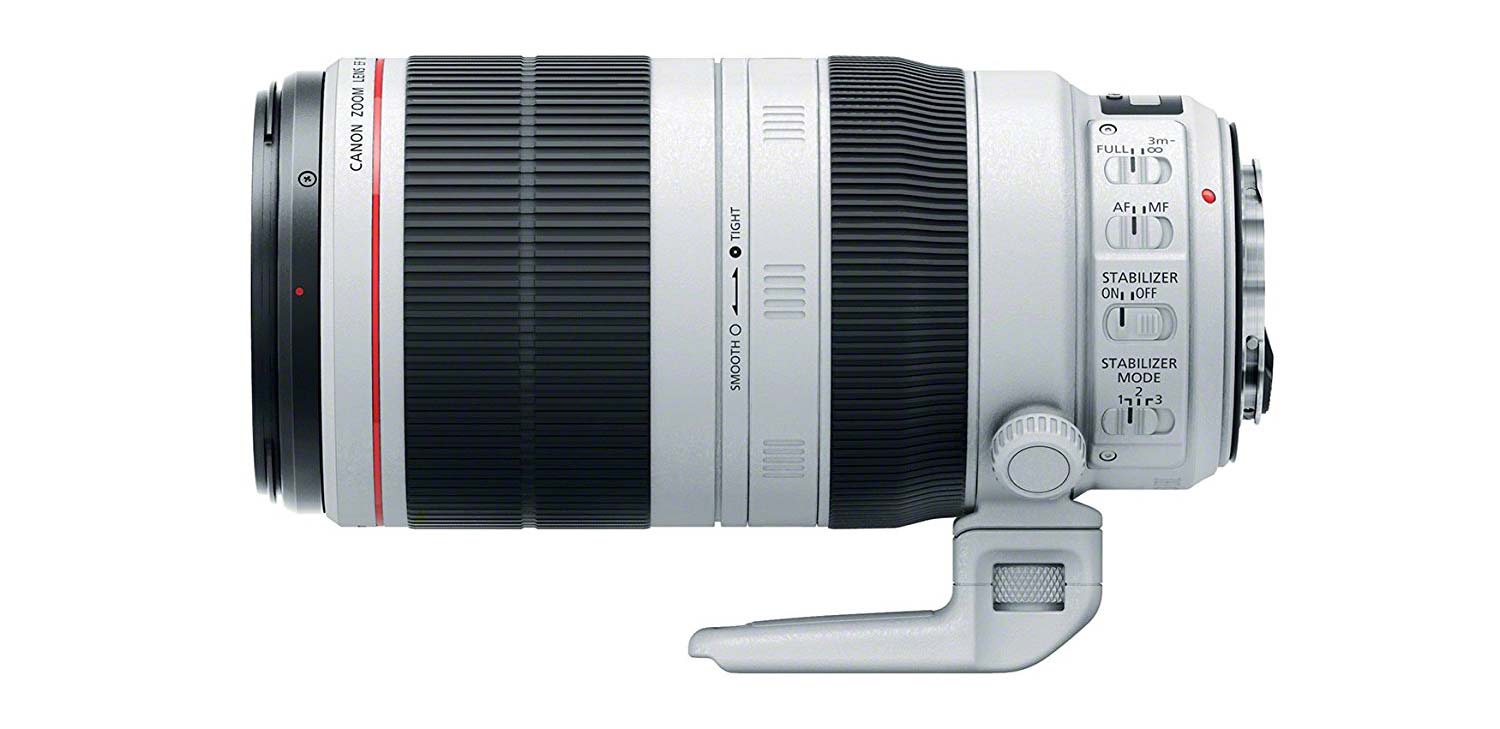 What's the Best Lens for Wildlife Photography? Nature TTL