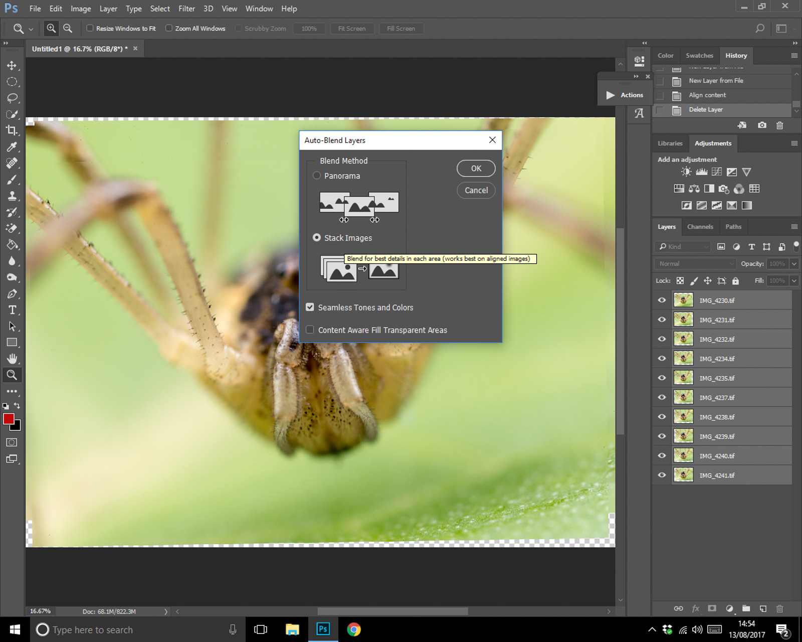 How to Focus Stack Macro Photos in the Field Nature TTL