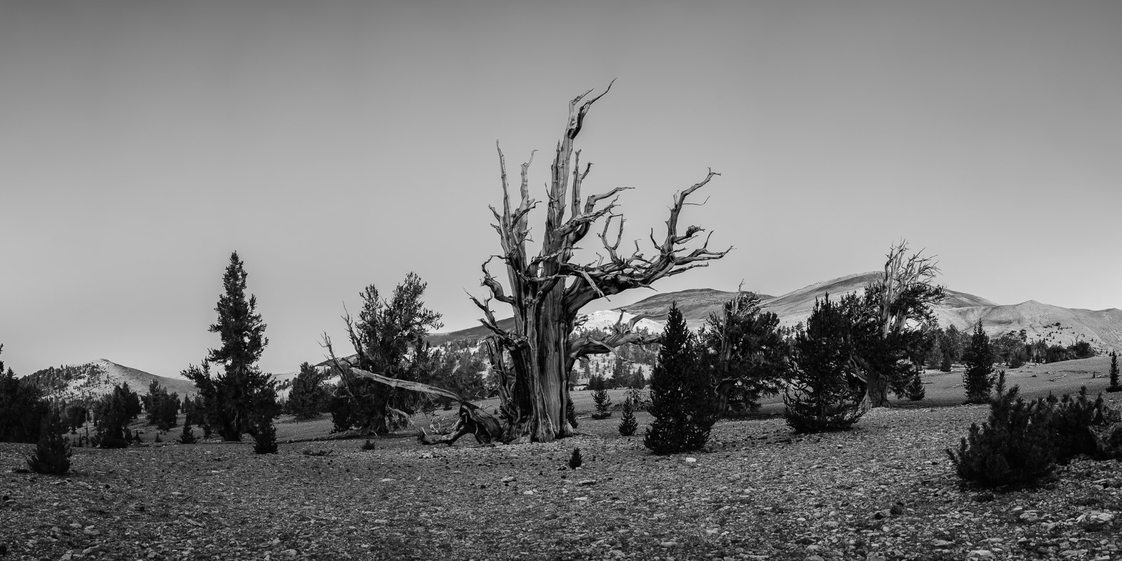 Are Mirrorless Cameras Better Than DSLRs for Landscape Photography