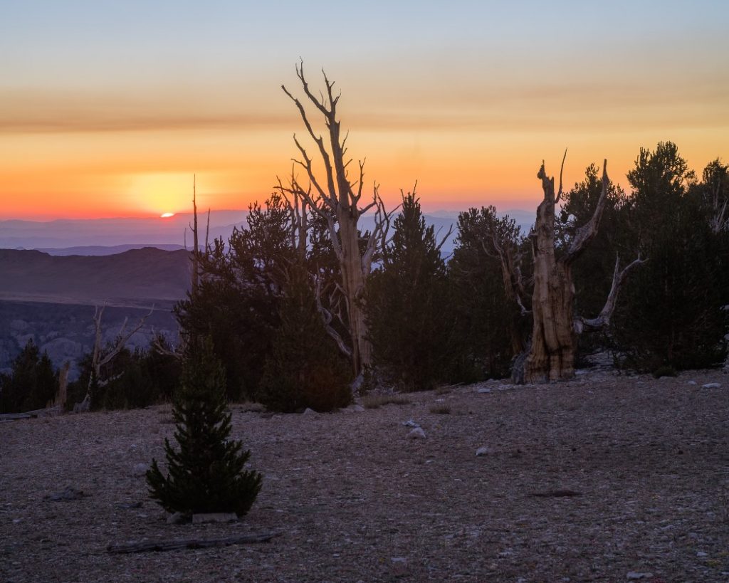 Are Mirrorless Cameras Better Than DSLRs for Landscape Photography