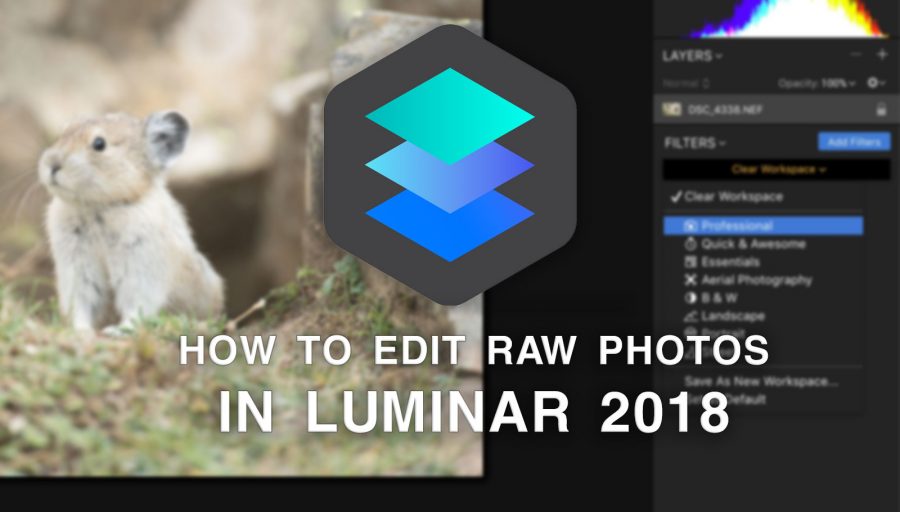 luminar 2018 italiano download