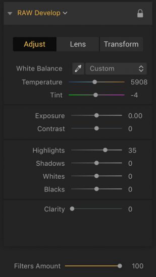 how to edit raw photos in luminar 2018