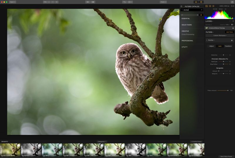 luminar 2018 review