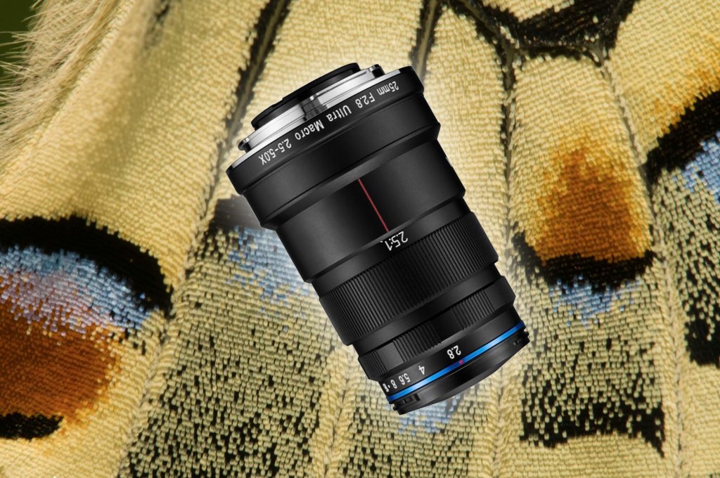 Laowa 25mm f/2.8 Lens Review: 2.5-5x Macro Magnification - Nature TTL