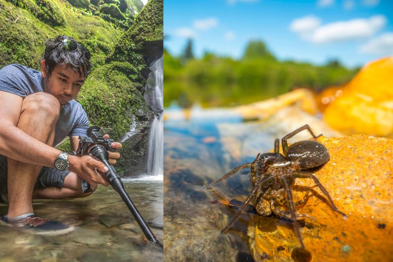 Laowa 24mm f/14 Probe Lens Review: The Weird 2:1 Macro Lens - Nature TTL