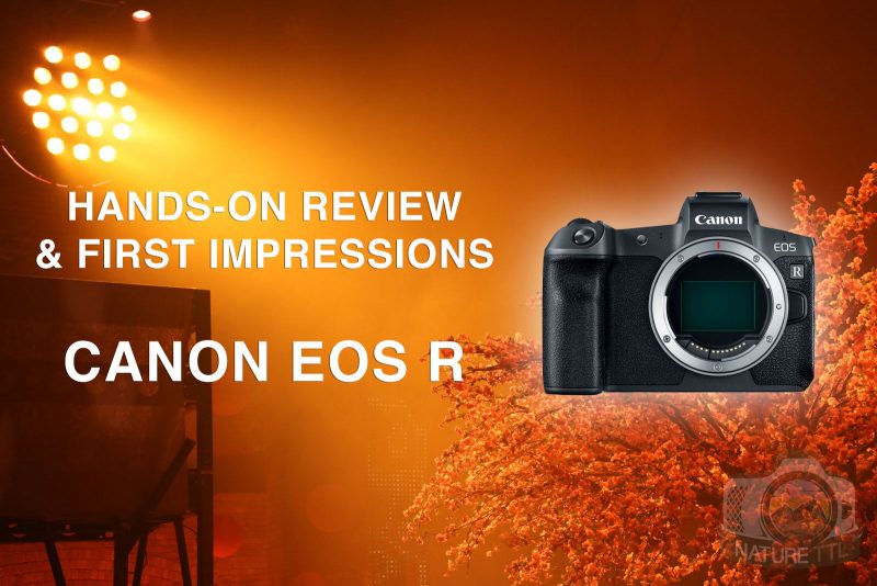 Canon EOS R Review: Hands-on and First Impressions - Nature TTL