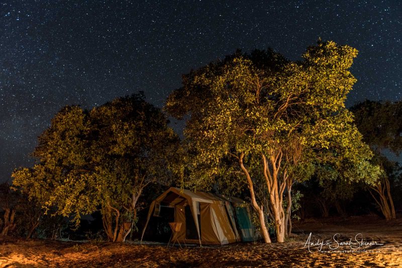 Botswana wildlife photography safari