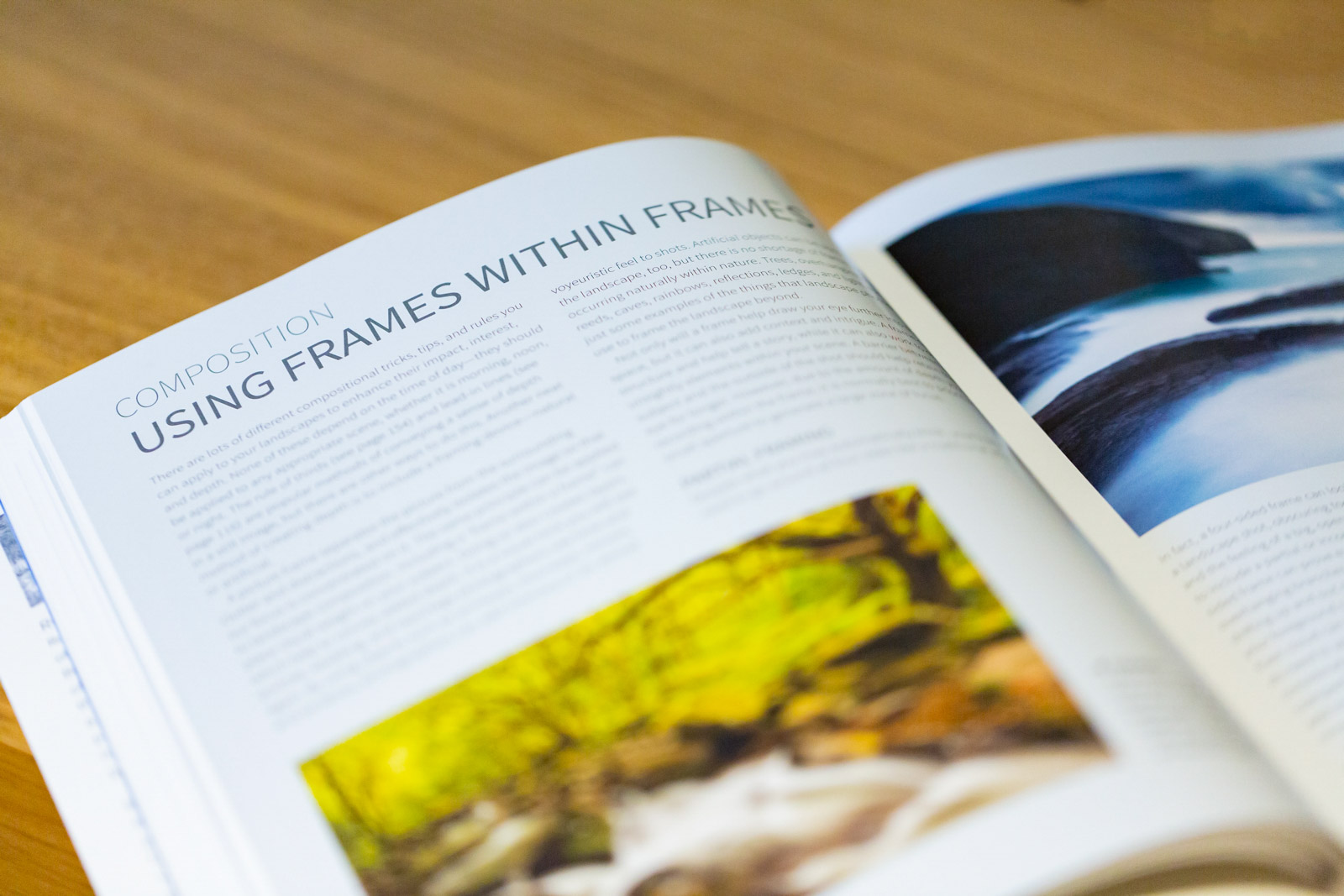 Book Review From Dawn To Dusk By Ross Hoddinott Mark Bauer Nature Ttl