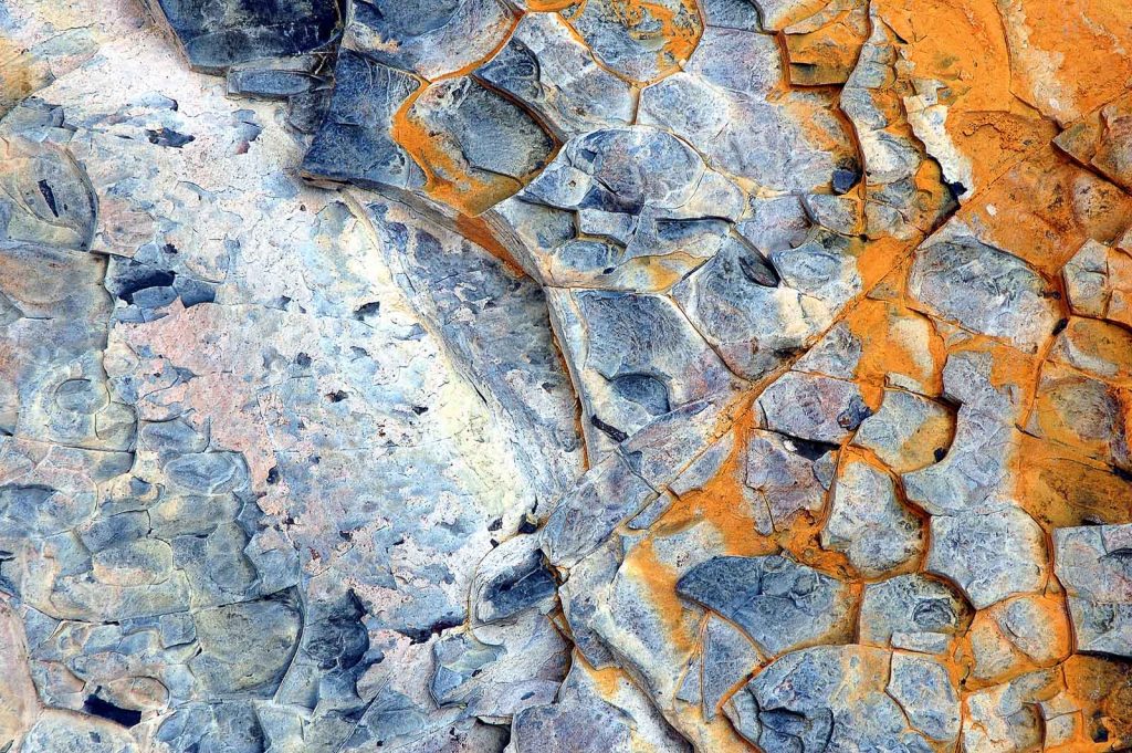 How to Take Coastal Close-up Macro Photos - Nature TTL