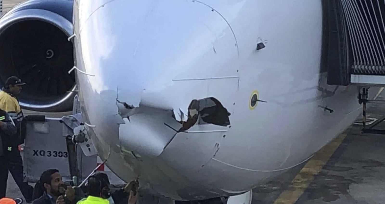 Boeing 737 'Crashes into Drone' During Landing Nature TTL