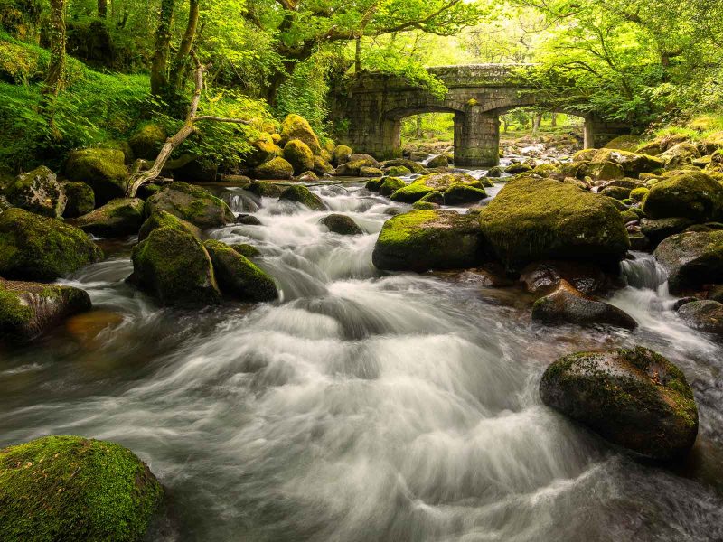How to Photograph Spring Landscapes - Nature TTL