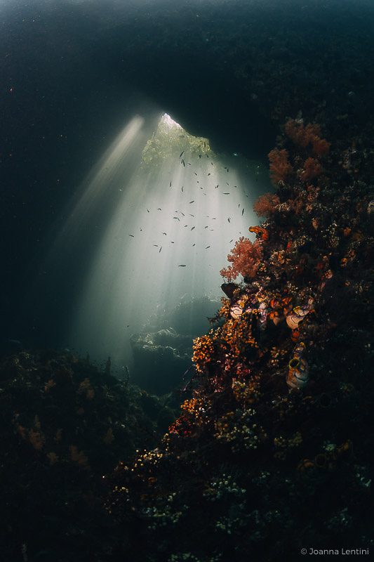 underwater photography locations