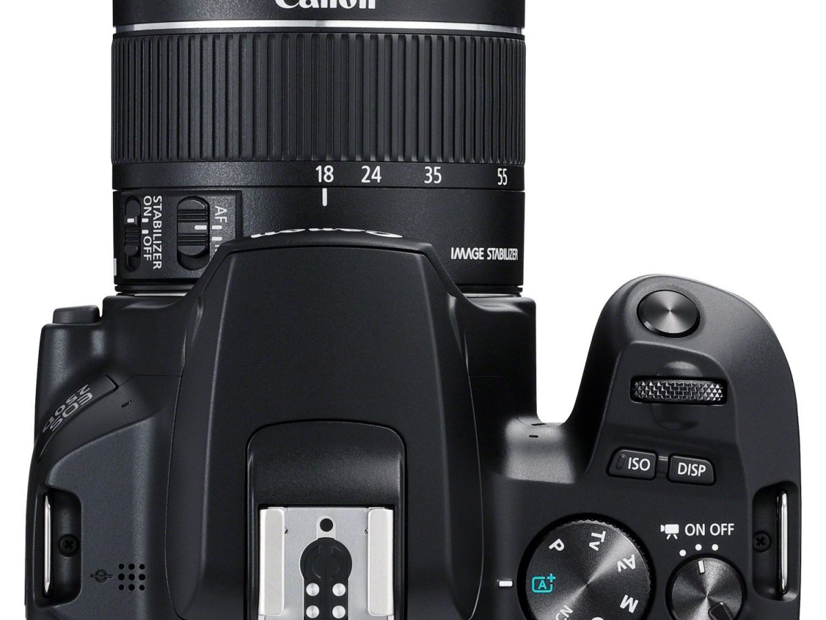 EOS250D-4-1200x900-cropped.jpg