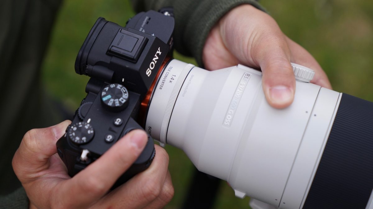 Sony Announces Two New 'Super-Telephoto' Lenses - Nature TTL