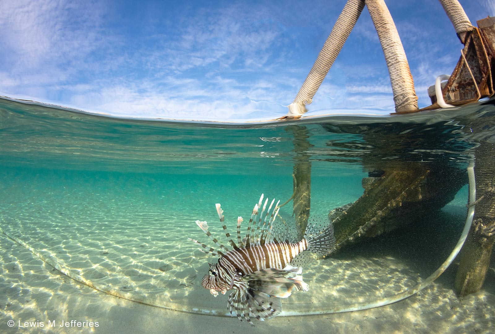 Underwater SplitShots Top Tips for OverUnder Photos Nature TTL