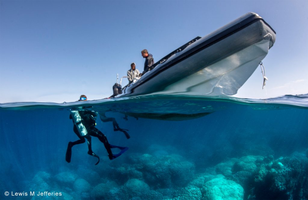 Undershot Example Underwater Split-Shots: Top Tips for Over-Under Photos - Nature TTL