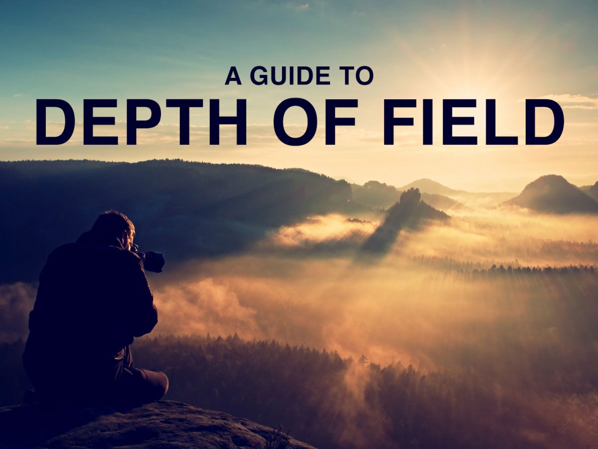 Depth Of Field In Photography And How To Blur Background Bidun Art