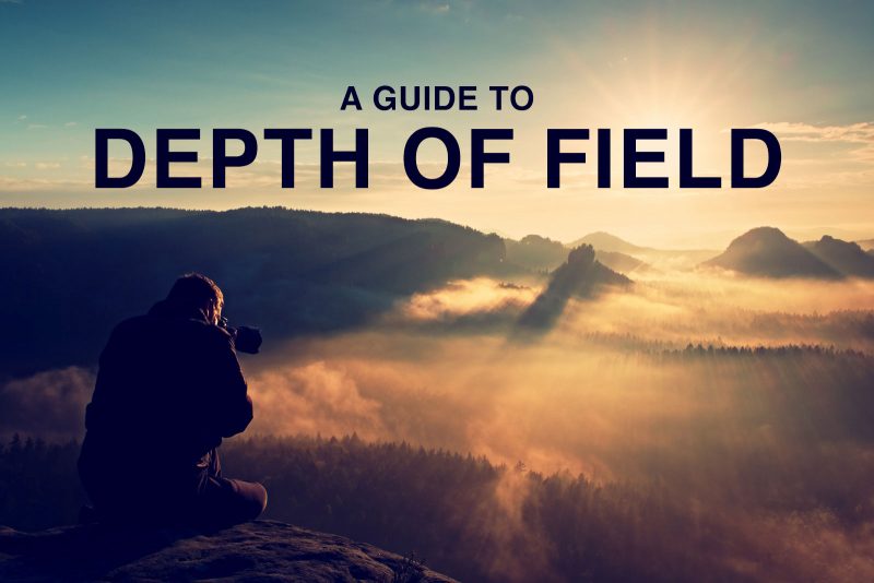 Depth Of Field For Beginners Bokeh Focus And More Nature Ttl Depth Of Field For Beginners Bokeh Focus And More Nature Ttl
