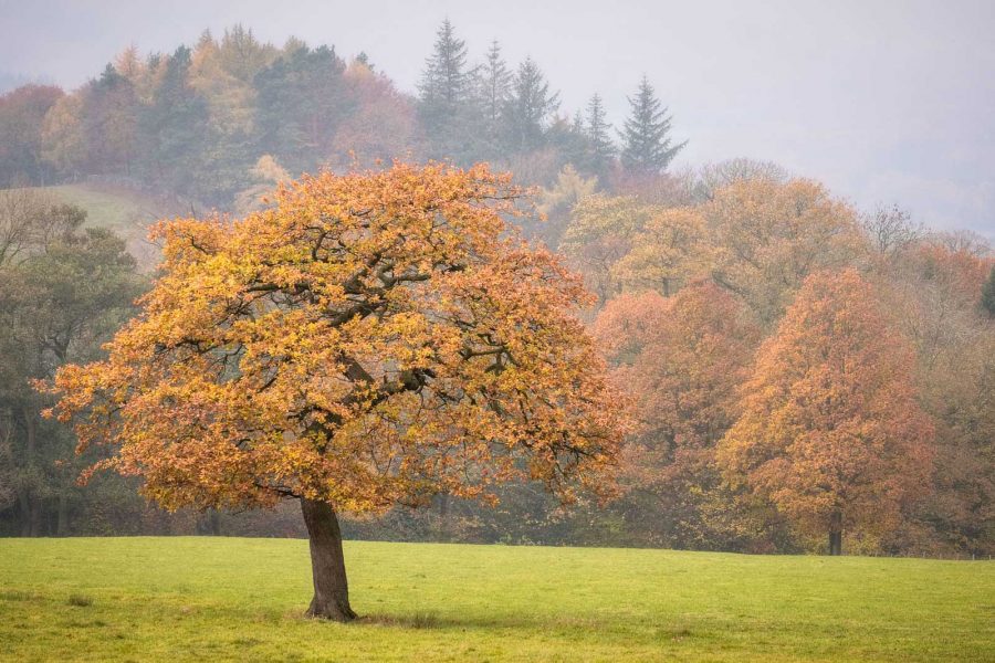 6 Ways To Take Better Autumn Landscape Photos Nature Ttl