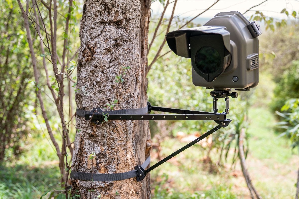 Camtraptions Unveils SuperTough Jungle Camera Trap Mounts Nature TTL