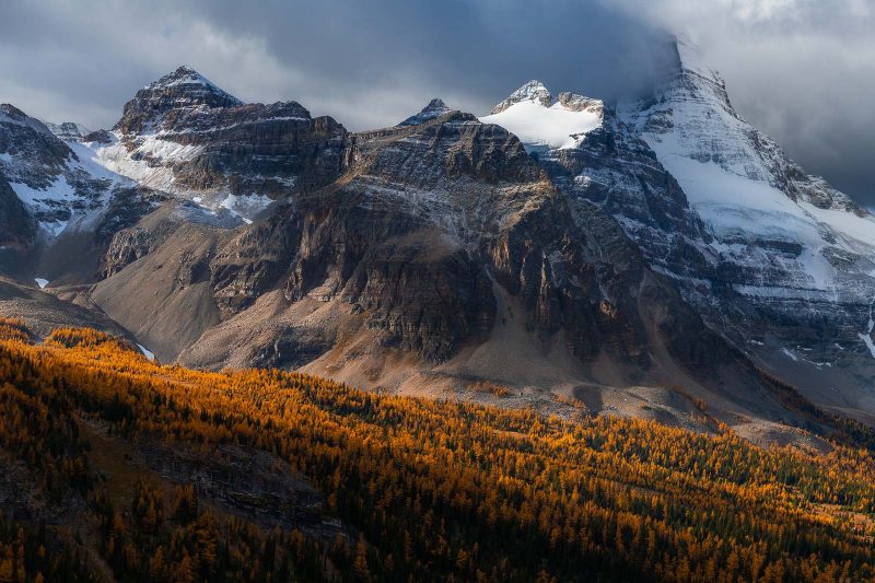 the Canadian rockies landscape 