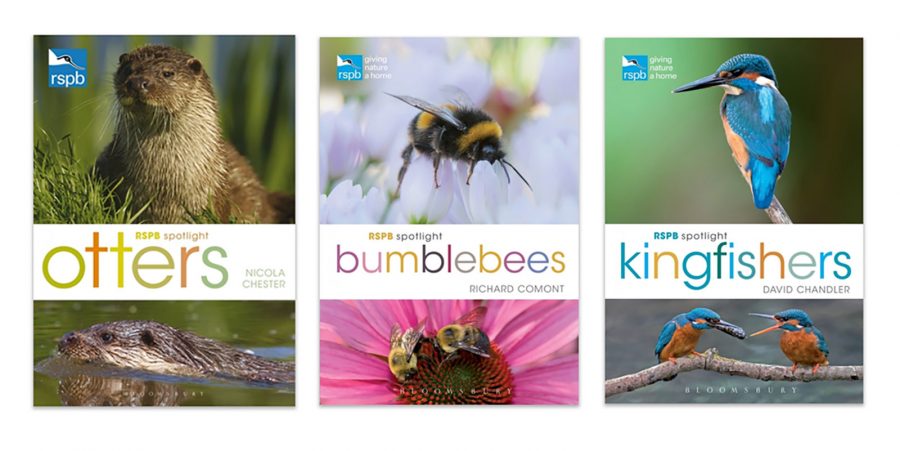 Top 10 Nature Photography Books for Photographers this Christmas