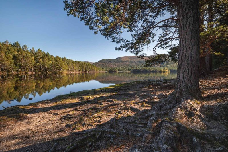 Loch an Eilien, Scotland