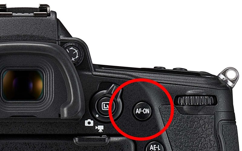 Back Button Focus: When and Why to Use It - Nature TTL