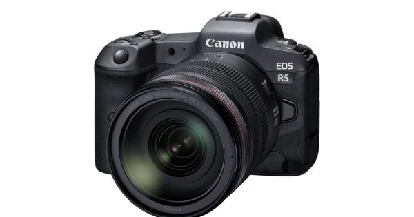 Canon EOS R5 is Coming: '8K' Video, IBIS, 20fps - Nature TTL