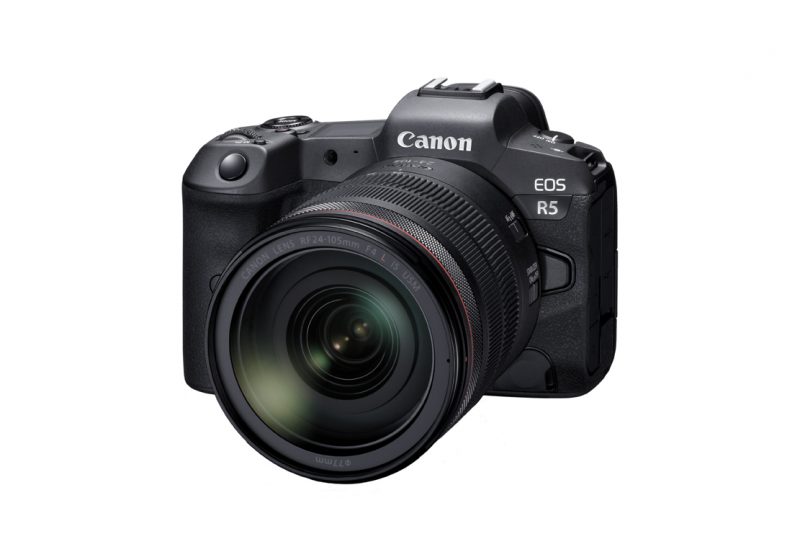 Canon EOS R5 is Coming: '8K' Video, IBIS, 20fps - Nature TTL