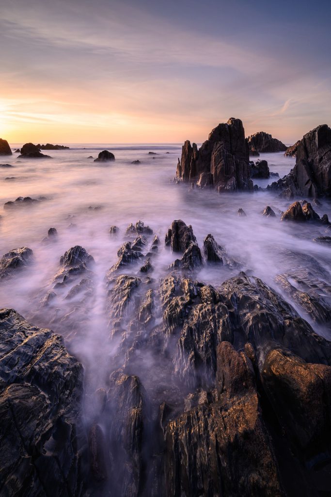 Nikon Z7 Review Switching to Mirrorless from DSLR Nature TTL